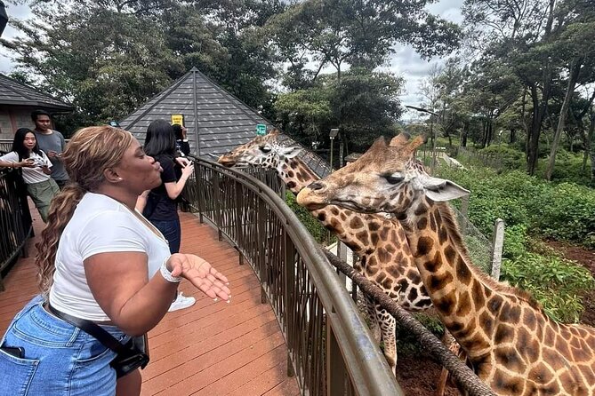 Giraffe Centre and Bomas of Kenya from Nairobi - A One-Day Nairobi Mix That Actually Saves Time
