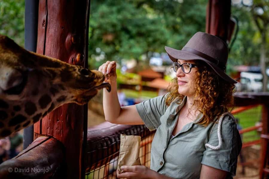 Giraffe, Elephant Orphanage - Key highlights worth your time