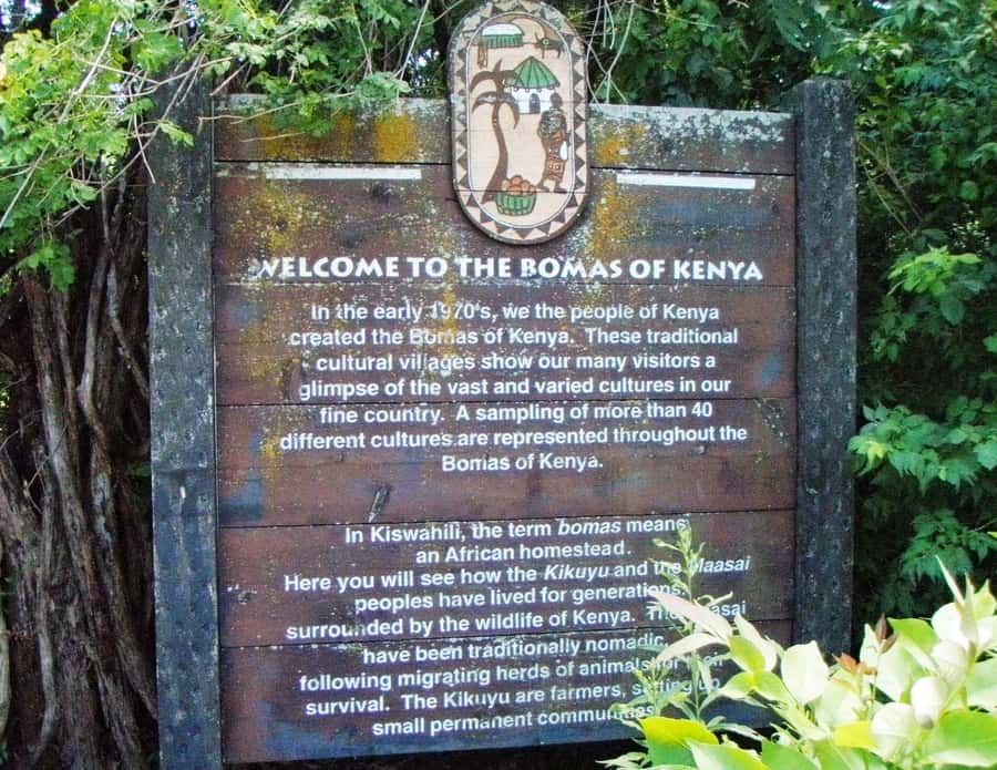Giraffe, Elephant Orphanage - Practical tips to get the most from the giraffe and elephant moments