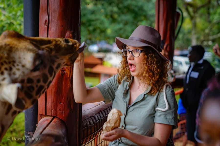 Giraffe, Elephant Orphanage - Nairobi lunch on your own, so plan around timing