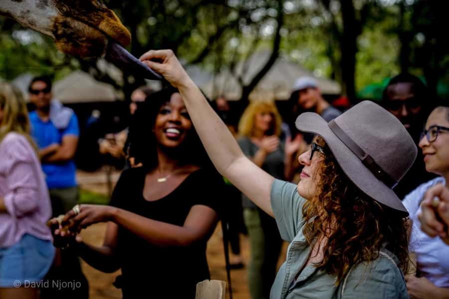 Giraffe, Elephant Orphanage - Your day starts at 9:30 a.m in Nairobi, with a smooth pickup