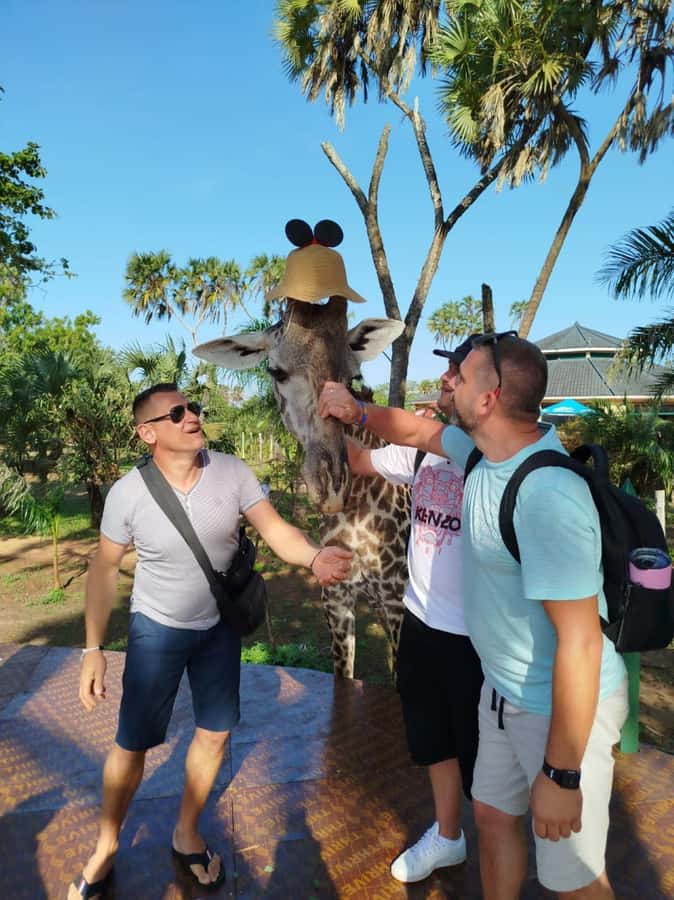 giraffe feeding - Check-in and the conservation angle on 31 acres