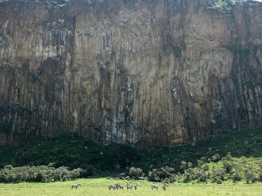 Group joining day tour to Hell's Gate and Lake Naivasha - Crescent Island: the optional walk with giraffes, zebras, and wildebeests