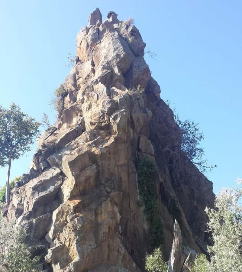 Group joining day tour to Hell's Gate and Lake Naivasha - Who this tour suits best