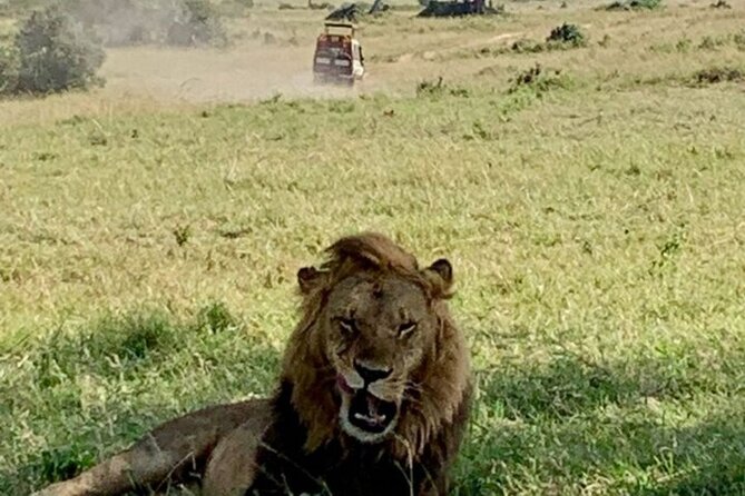 Group Joining Nairobi National Park and Giraffe Center - Who should book this Nairobi Park and Giraffe Centre tour