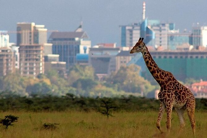 Group Joining Nairobi National Park and Giraffe Center - A game drive with rhino conservation as the focus