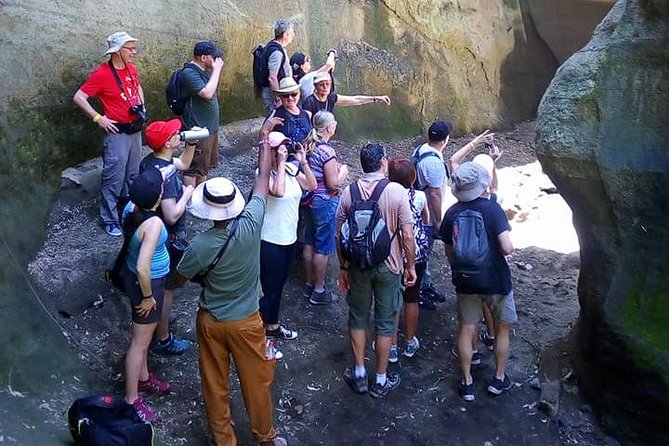 Guided Day Tour Safari of Parks Lake Naivasha and Hells Gate - Price and value: where $225 makes sense, and where it might sting