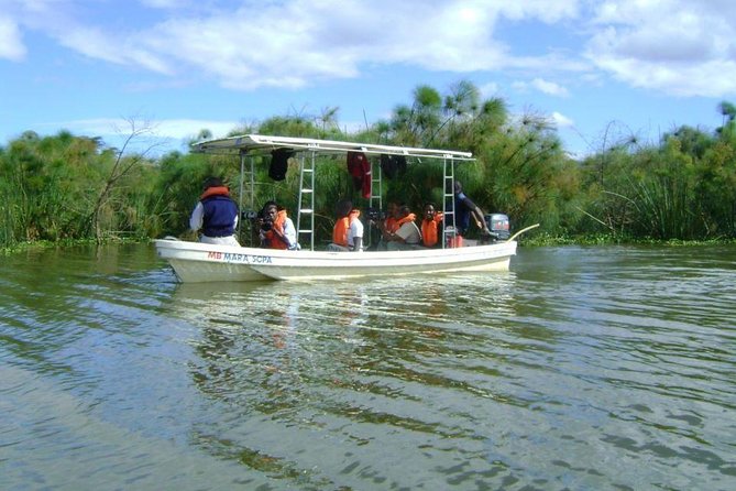 Guided Day Tour Safari of Parks Lake Naivasha and Hells Gate - Choosing your adventure at Hell’s Gate: bike safari or safari vehicle