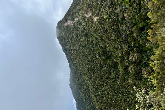 Guided Mount Longonot Hiking Day Trip - Wildlife Meets Big Views on the Rim