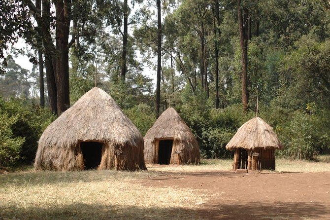 Half-Day Cultural Tour to Bomas of Kenya in Nairobi - The guided village walk: mud huts, homesteads, and 42 ethnic group displays
