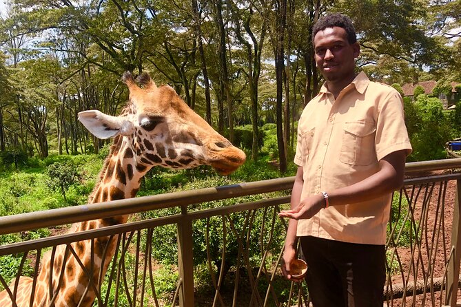 Half Day Excursion Tour in Nairobi - Should you book this Nairobi and Beyond Safaris half-day excursion?
