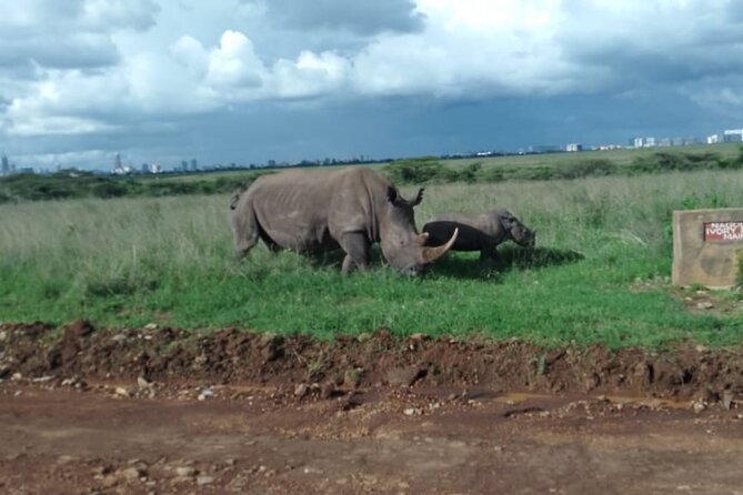 Half Day Morning or Afternoon Guided Tour : Nairobi National Park - Your guide matters most, and the names Joe, Sam, and Joseph are a clue