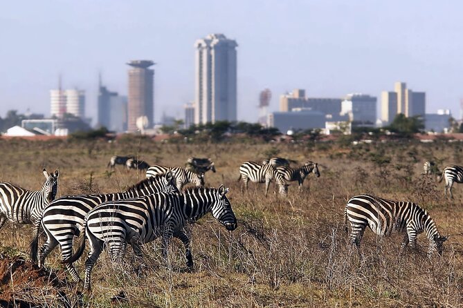 Half Day Nairobi National park - Door-to-door pickup and the small-group advantage
