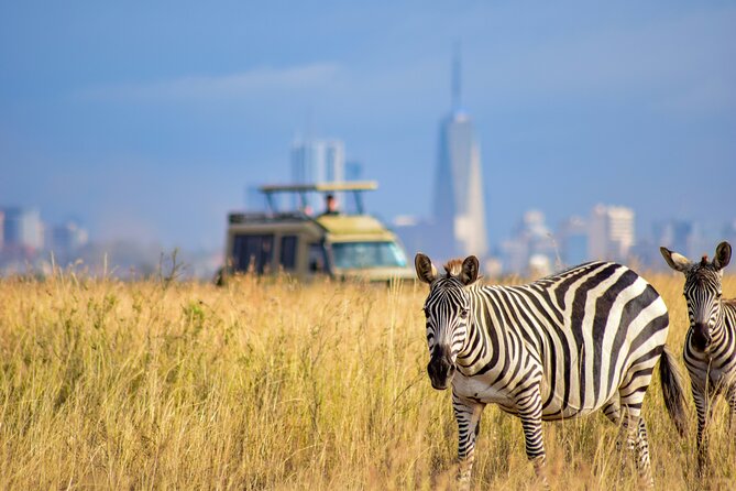 Half Day Nairobi National park - Big-cat chances, plus the everyday animals that make it fun