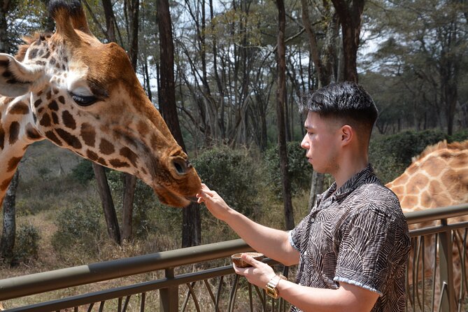 Half-Day Nairobi National Park and Maasai Market with Pick up - Timing, tickets, and how the day runs in practice