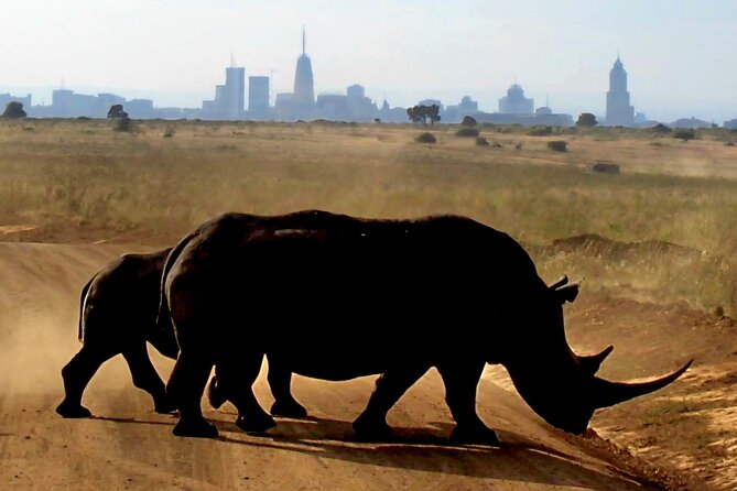 Half-Day Nairobi National Park Private Tour with admission - Entering Nairobi National Park, Africa’s wildlife next door
