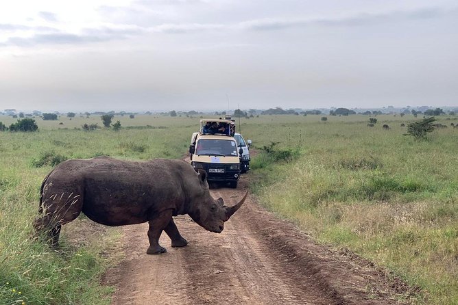 Half-Day Nairobi National Park Safari from Nairobi with Free Pickup - Enter Nairobi National Park: Wildlife With the City in View