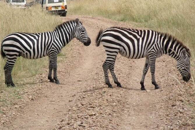 Half-Day Nairobi National Park Tour from Nairobi - Key highlights worth your attention