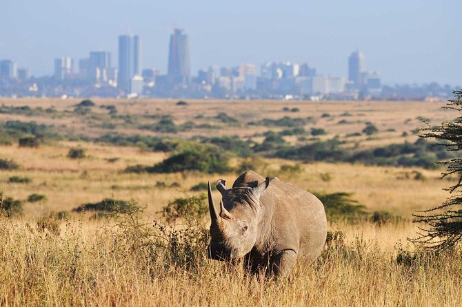 Half day Nairobi National Park Tour & Sheldrick Elephant Nursery - Nairobi National Park Plus Sheldrick: The Simple Idea That Works