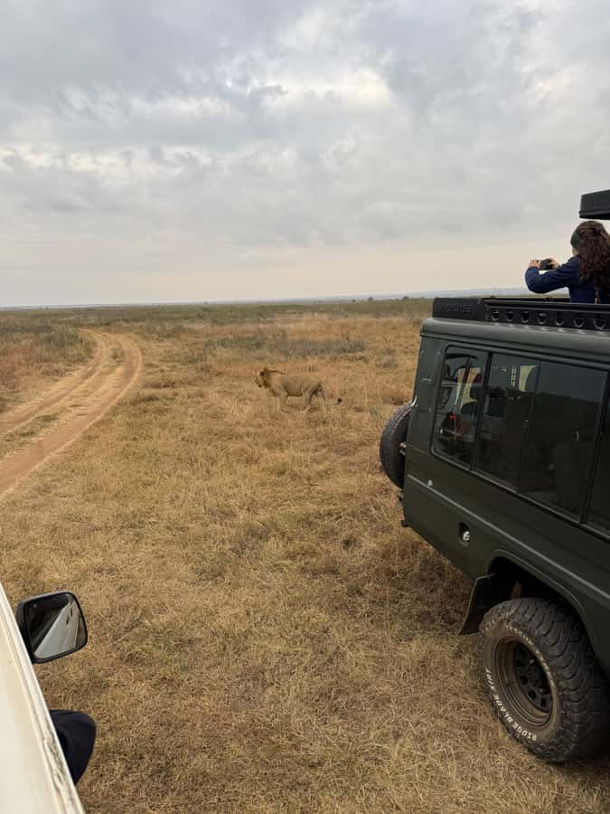 Half day Nairobi National Park with free pick up - Key things to know before you go