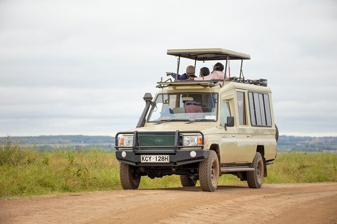 Half-Day Private Guided Safari Tour to Nairobi National Park - Pickup, meeting point, and the 6:00 am start