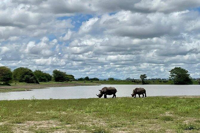 Half Day Private Tour in Nairobi National Park with Admission - Hippos, crocodiles, and aquatic birds at the dams