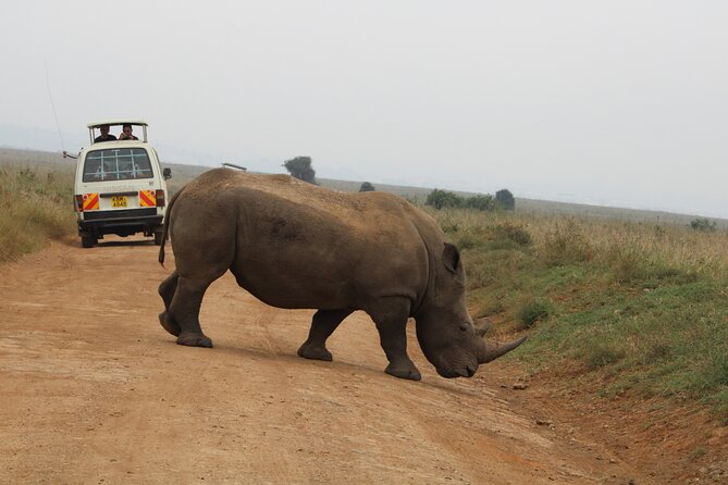 Half Day Tour To Nairobi National Park and Giraffe Center - Who This Half-Day Safari Works Best For