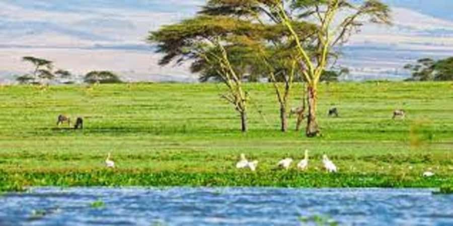 HELL'S GATE AND LAKE NAIVASHA BOAT RIDE FROM NAIROBI. - FAQ