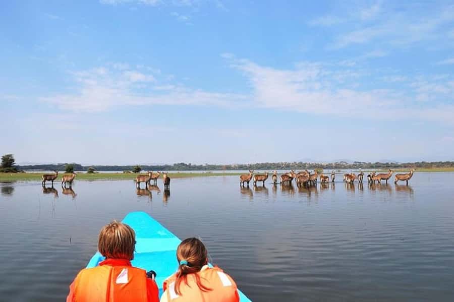 HELL'S GATE AND LAKE NAIVASHA BOAT RIDE FROM NAIROBI. - Who should book this, and who should rethink it