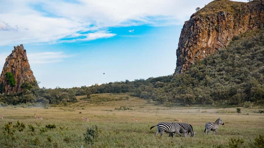 Hell's Gate & Lake Naivasha: Bike Tour, Hike & Boat Ride - Why Hell’s Gate feels wilder than a classic safari day