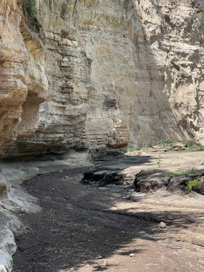 Hell's Gate & Lake Naivasha: Bike Tour, Hike & Boat Ride - Lake Naivasha boat cruise, hippos, and 400-plus birds