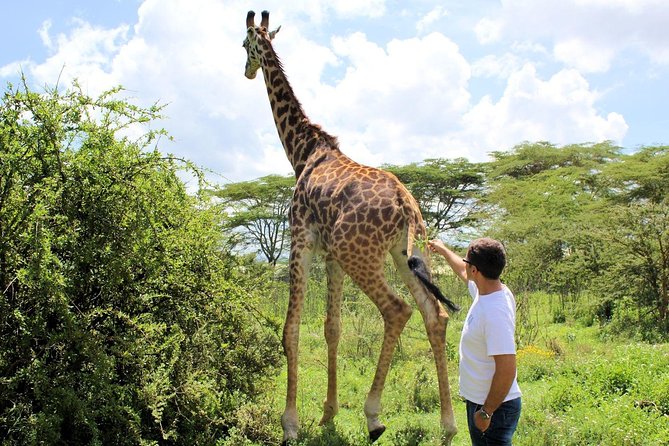 Hell's Gate & Lake Naivasha Small Group Day Tour - Guaranteed Daily Departure - The walking safari and the gorge closure reality