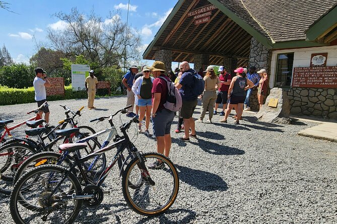 Hell's Gate National Park and Lake Naivasha Private Tour - Return to Nairobi: a full day with clear anchors