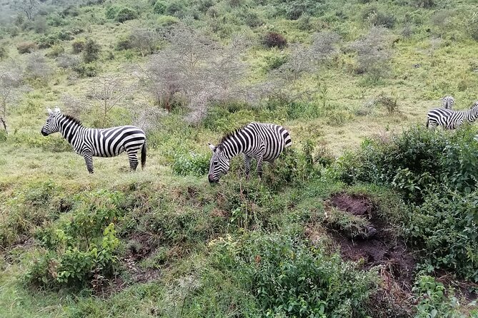 Hell's Gate National Park Private Bike Tour from Nairobi - Timing and logistics: what the 9-hour rhythm feels like