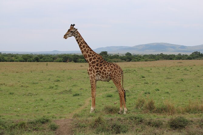 Hell's Gate National Park Private Bike Tour from Nairobi - Book it or pass? My decision guide