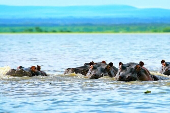 Hell's Gate Park and Lake Naivasha Day Tour - Hell’s Gate by bike: 8 kilometers, freedom, and ranger breaks