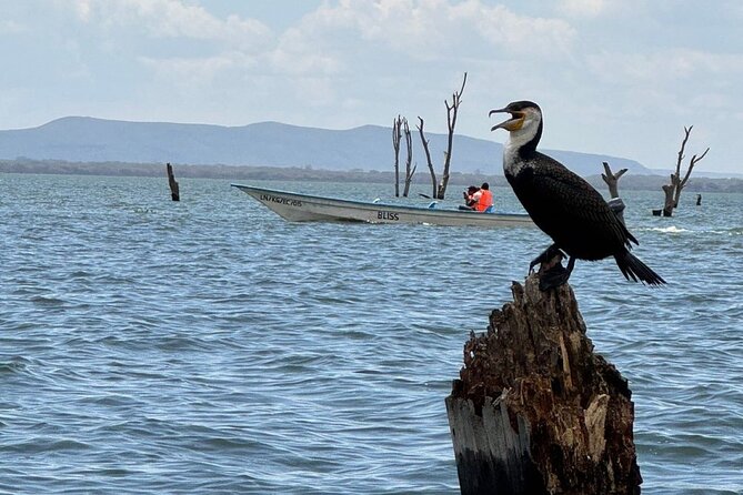Hell's Gate Park and Lake Naivasha Day Tour - Getting to Hell’s Gate: viewpoints and the Rift Valley drive
