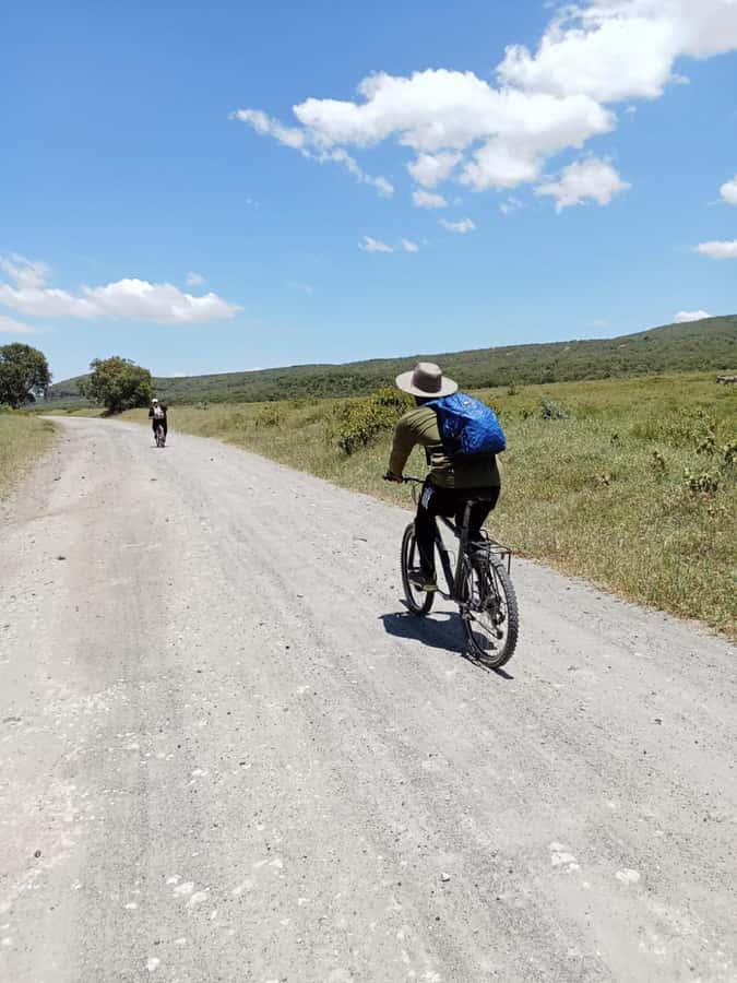 HELLS GATE AND LAKE NAIVASHA DAY TRIP FROM NAIROBI. - Lake Naivasha boat cruise: hippos, birds, and calm water watching