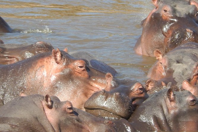 Hells Gate Cycling park & Lake Naivasha Boat tour - 6 a.m. departure, Rift Valley viewpoints, and park entry reality