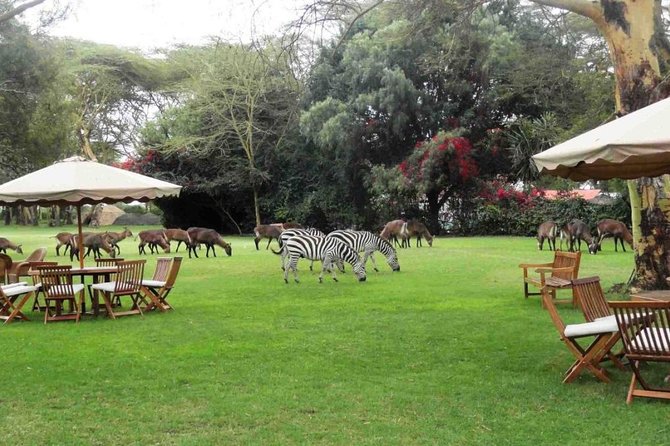 Hells Gate Excursion in Naivasha - What wildlife you can realistically expect (and how to enjoy it)