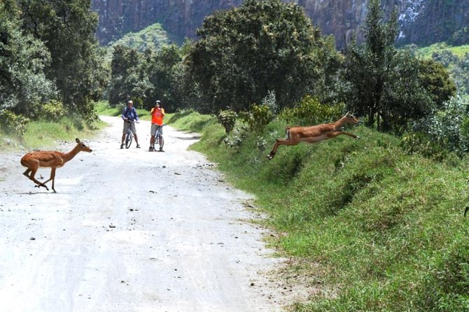 Hells Gate Excursion in Naivasha - Maasai community and World Rally context that adds meaning