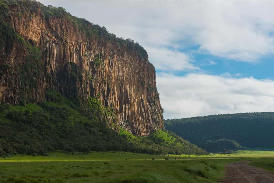 Hells Gate National Park and Lake Naivasha Day Tour - Why Hell’s Gate cycling feels different from a normal safari