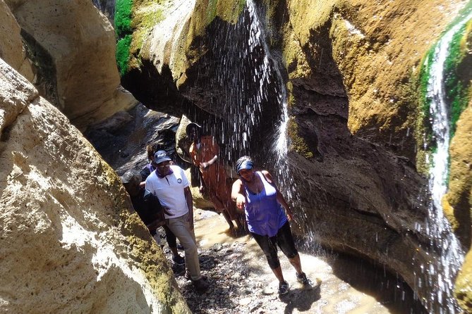 Hells Gate National Park Day Trip - Transportation and Timing: Pickup Offered, Early Start, No Wi-Fi