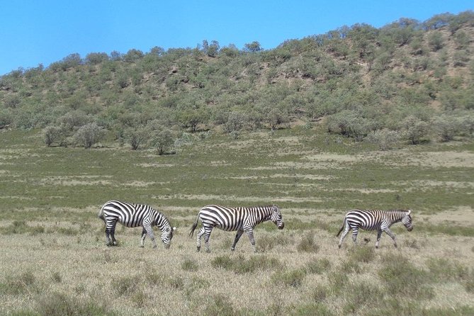 Hells Gate National Park Day Trip - Guide Style That Turns a Walk Into a Story
