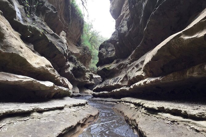 Hells Gate National Park & Lake Naivasha Day Trip from Nairobi - Key highlights you should actually care about