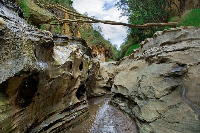 Hells Gate National Park & Lake Naivasha Day Trip from Nairobi - Hell’s Gate National Park: geology, animals, and your choice of bike or drive