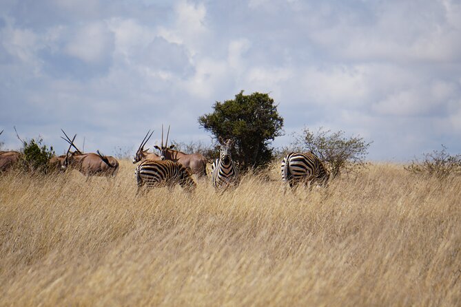 Hells Gate with Hiking Biking Climbing and Camping in Kenya - Why Hells Gate feels different from a safari van