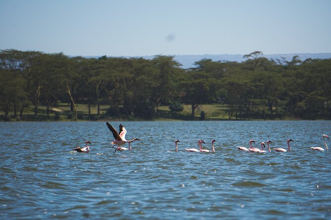 Hells Gate with Hiking Biking Climbing and Camping in Kenya - Biking across the plains: freedom with zebras nearby