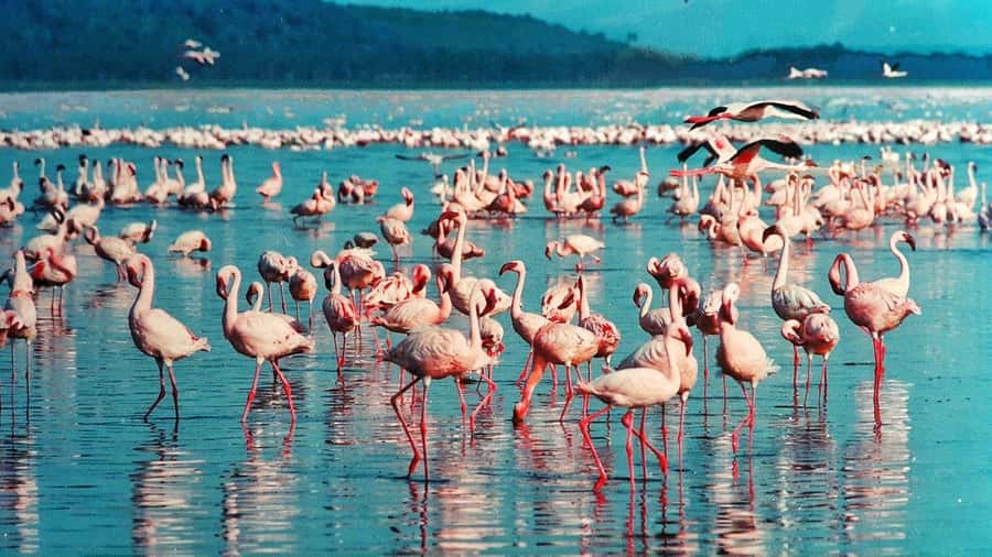 Hellsgate and Lake Naivasha Day Trip from Nairobi - From Nairobi to the Rift Valley viewpoint