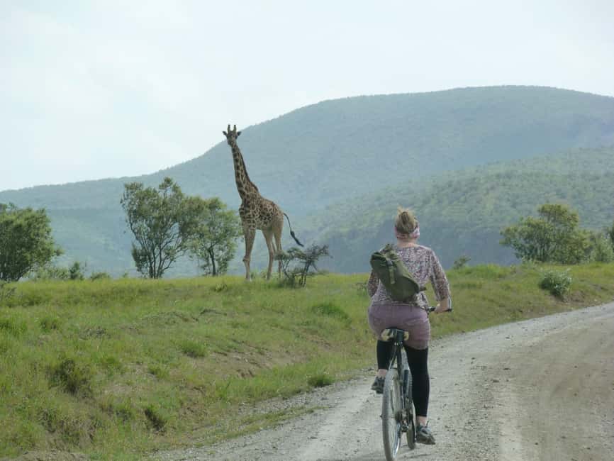 Hellsgate and Lake Naivasha Day Trip from Nairobi - Watching zebras and gazelles without the big safari feel